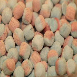 Fizzy Bollar