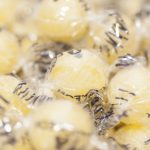 Lemon Balls (2 st)