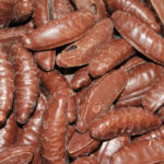 Chokladdoppade Gelébananer (3 st)